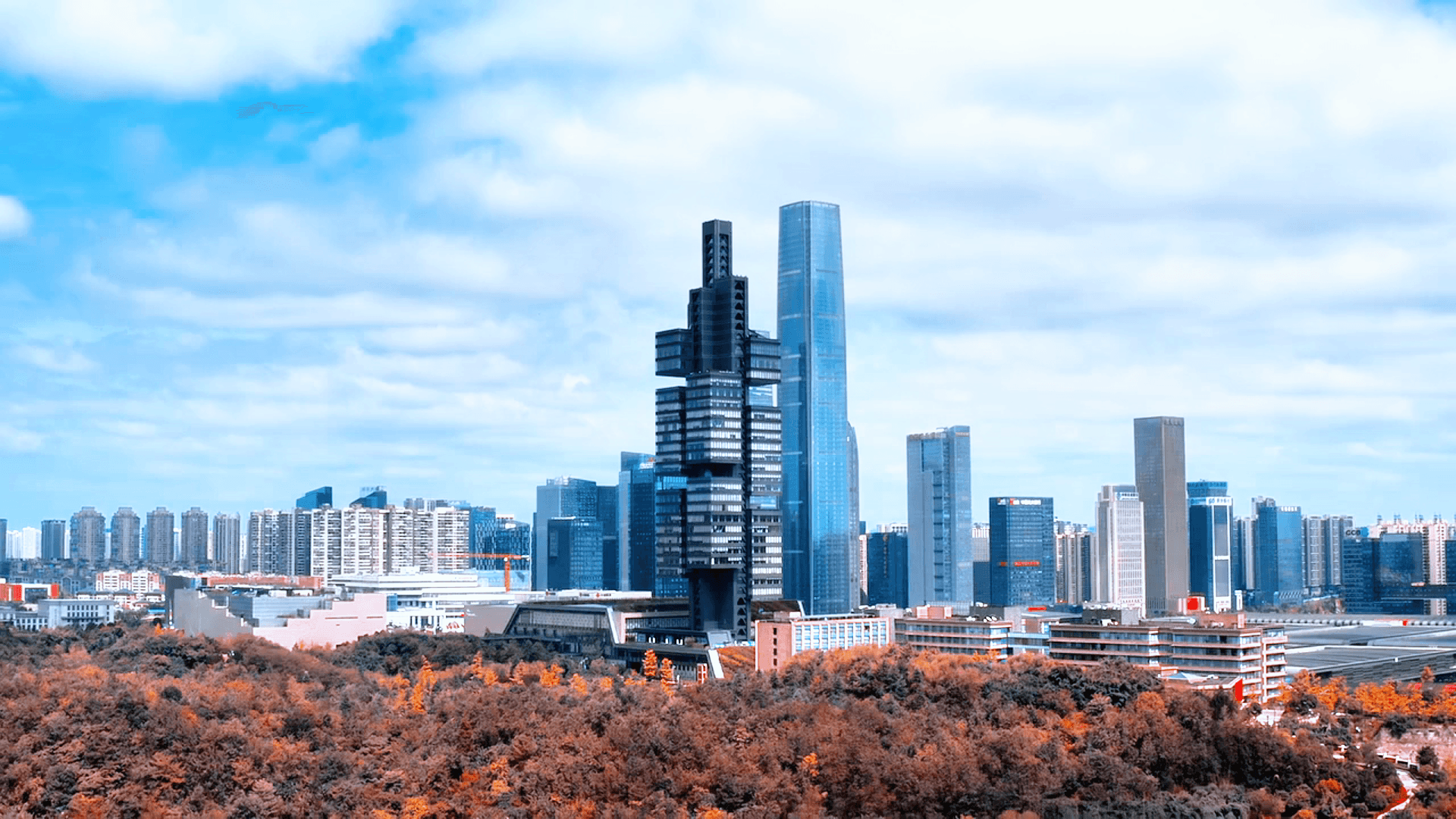 星仑科技团队与社区